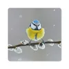 MuchoWow® Mauspad Mousepad Blaumeise - Vogel - Zweig - Gelb Produktbild-Vorschau 1