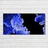 Coloray Bild aus Acryl 100 cm x 50 cm - Wohnzimmer Produktbild-Vorschau 2