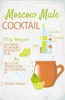 vianmo Holzschild 30x20 cm Moscow Mule Cocktail Recipe Produktbild-Vorschau 1
