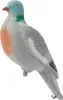 Eurohunt Pigeon-Lockvogel Taille réelle Blanc Blanc One Voir les images du produit 2