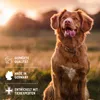 AniForte Denta Clean & Care Dentalspray für Hunde 100ml – Produktbild-Vorschau 6