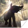 MuchoWow® Poster Elefant mit Person in hellem Sonnenlicht Produktbild-Vorschau 1