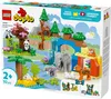 LEGO LEGO DUPLO 10446 Sada 3 v 1 pre rodiny divokch zvierat Náhľad obrázku produktu 27