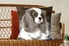 MuchoWow® Zierkissen Sofakissen Wohnzimmer Dekokissen 60x60 Produktbild-Vorschau 5