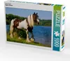 Calvendo Ein Motiv aus dem Kalender Gypsy Horses 1000 Teile Produktbild-Vorschau 1