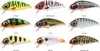 Spro Iris Flanky Hot Perch 9cm 20g Wobbler Produktbild-Vorschau 5
