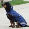 Kocyk dla psa Bucas 0g Therapy Dog Rug Płaszcz dla psa Podgląd zdjęcia produktu 3