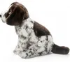 Carl Dick Chien de chasse English Pointer assis env. 24cm Voir les images du produit 3