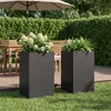 vidaXL Garten-Pflanzgefäß 2 stk. Schwarz 30 x 30 x 50 cm Produktbild-Vorschau 2
