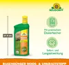 Neudorff Rasendünger Moos-&UnkrautStopp 1L für 100 m² Produktbild-Vorschau 3