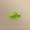 Avoury Black Tea | STRONG ASSAM | 8 Tee-Kapseln: Schwarzer Produktbild-Vorschau 7