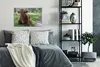 MuchoWow® Poster Schottisches Hochlandrind - Kröte - Tiere Produktbild-Vorschau 4