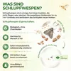 Schlupfwespen gegen Lebensmittelmotten, 4 Karten x 1 Produktbild-Vorschau 3
