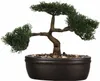 Plante décorative artificielle BONSAI, 23 cm Voir les images du produit 4