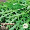 Samenliebe  Wilde Rauke Samen | Rucola - winterhart & Produktbild-Vorschau 4