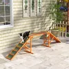 PawHut Honden Agility Brug, Agility-uitrusting voor honden Productafbeelding-voorbeeld 2