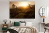 MuchoWow® Poster Hirsche - Nebel - Sonnenuntergang 180x120 Produktbild-Vorschau 4