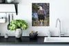 MuchoWow® Poster Ein Weißkopfseeadler auf einer Stange Produktbild-Vorschau 3