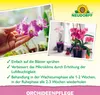 Neudorff OrchideenPflege Spray 250 ml Produktbild-Vorschau 4