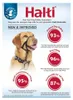 Halti Kopfgeschirr für Hunde | Größe 3, Schwarz Produktbild-Vorschau 8