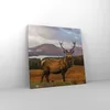 Bild auf Leinwand - Leinwandbild - Einteilig - Rehe Wiese Produktbild-Vorschau 4