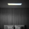 LED stropní panel 98 cm, CCT, stmívatelné, s dálkovým Náhled obrázku produktu 4