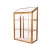A mini greenhouse with wooden frame and clear polycarbonate panels, shown against a white background. Voir les images du produit
