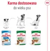 ROYAL CANIN SHN Mini Adult mokra karma dla psów 12 x 85 g Podgląd zdjęcia produktu 7