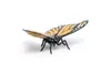 papo 50260 Schmetterling Spielfigur Produktbild-Vorschau 6