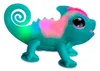 Famosa Correccion de Marca 26364-GP-RO in Multicolored Podgląd zdjęcia produktu 5