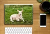 MuchoWow® Laptop Aufkleber Sticker Cover Schafe - Tiere - Produktbild-Vorschau 2