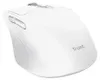 Trust Niven, rechts, RF Wireless + Bluetooth, 3200 DPI, Produktbild-Vorschau 3