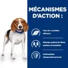 Kroketten für ausgewachsene Hunde, verschreibungspflichtige Produktbild-Vorschau 4