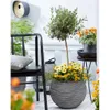 Capi Blumentopf Nature Rib Kugel 40 x 32 cm Anthrazit Produktbild-Vorschau 10