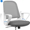 SENSE7 Sopty Sedia da ufficio ergonomica Sedia da scrivania Anteprima dell’immagine prodotto 4