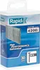 Rapid Agraf Point - No. 8 - 40 mm - 2800 points - Pack of Anteprima dell’immagine prodotto 1