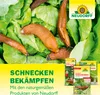 Neudorff Schnecken-Schutz 4m Kupferband 2Stk. gegen Produktbild-Vorschau 7