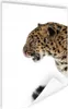 MuchoWow® Poster Leopard - Schnee - Kopf 40x60 cm - Plakate Produktbild-Vorschau 1