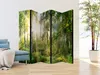 A room divider with a forest scene printed on it is placed next to a blue sofa and a tall potted plant. Podgląd zdjęcia produktu