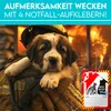 HUND IST KÖNIG Aufkleber Haustier Rettung für Tür & Fenster Produktbild-Vorschau 3