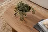 A close-up view of an oval wooden coffee table with a potted plant and books on it, placed on a textured rug. Voir les images du produit