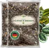 OraGarden Calathea & Maranta-Erde 6 Liter Produktbild-Vorschau 1