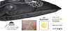 JACK Outdoor Lounge Kissen 45x45cm Motiv Dekokissen inkl. Produktbild-Vorschau 5