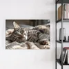 Magnettafel 60x40cm Pinnwand Whiteboard beschreibbar - Produktbild-Vorschau 3