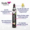A SodaTASTE CO2 cylinder with various features highlighted by text overlays. Anteprima dell’immagine prodotto