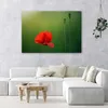 Leinwandbild mohn auf grünem hintergrund 90x60 cm Feeby rot Produktbild-Vorschau 2