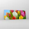 Bilder auf glas - Tulpen Blumenstrauß Blumen Tau - 100x40cm Produktbild-Vorschau 4
