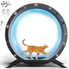 GTPLAYER Katzenlaufrad, laufrad Katze, Extra großer 100 cm, Produktbild-Vorschau 1