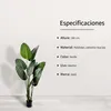 IvoQ Strelitzia Planta artificial 160 cm - Gran ave del Vista previa de la imagen del producto 8