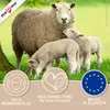 Filzwolle Neonfarben 1m Märchenwolle für Trockenfilzen und Nassfilzen Merino Mulesing frei Spinnen Meterware Infobild Produktbild-Vorschau